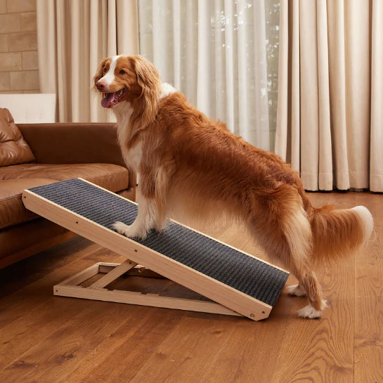 Chaban™ Adjustable Dog Ramp